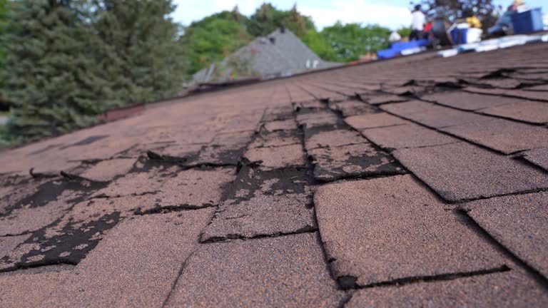  Prichard, AL Roofing Service Pros